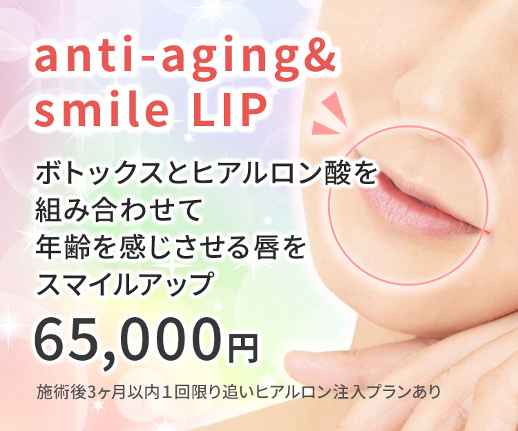 スマイルリップ 年齢が現れた唇を自然に若々しく 65,000円