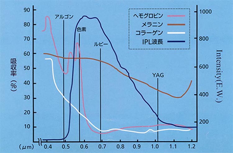 フォトフェイシャル（IPL）可視光線域内の吸収曲線