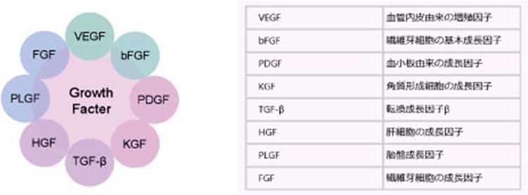 Growth Facter