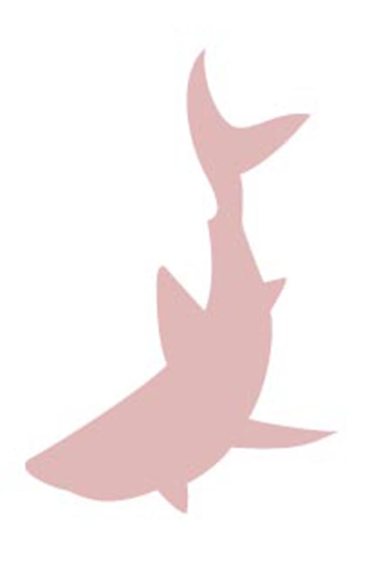 スクワランイメージ