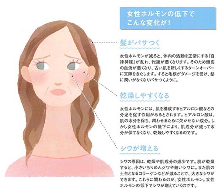 女性ホルモンの低下でこんな変化が！髪がパサつく、乾燥しやすくなる、シワが増える