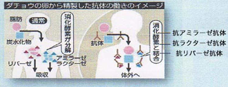 ダチョウの卵から精製した抗体の働きのイメージ（図解）